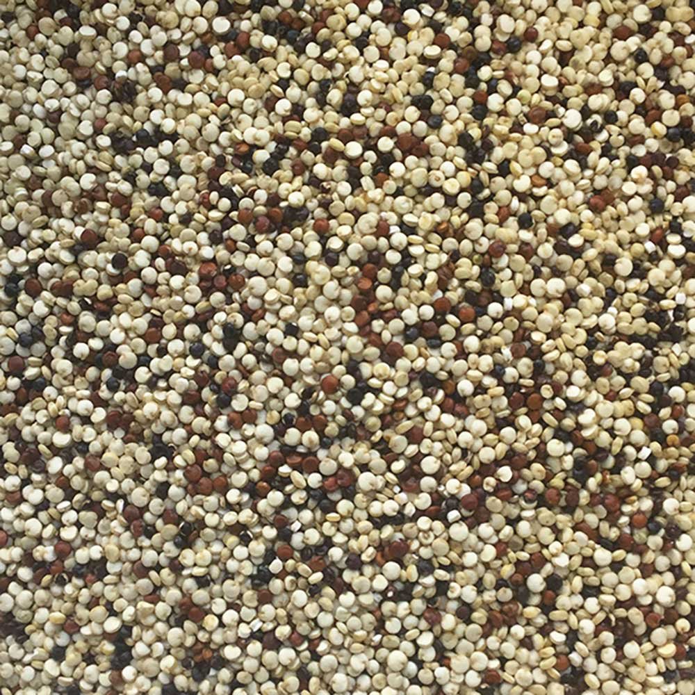 Organic Tricolour Quinoa Grain Infinity Foods 450g Organic Tricolour Quinoa Grain Infinity Foods 450g