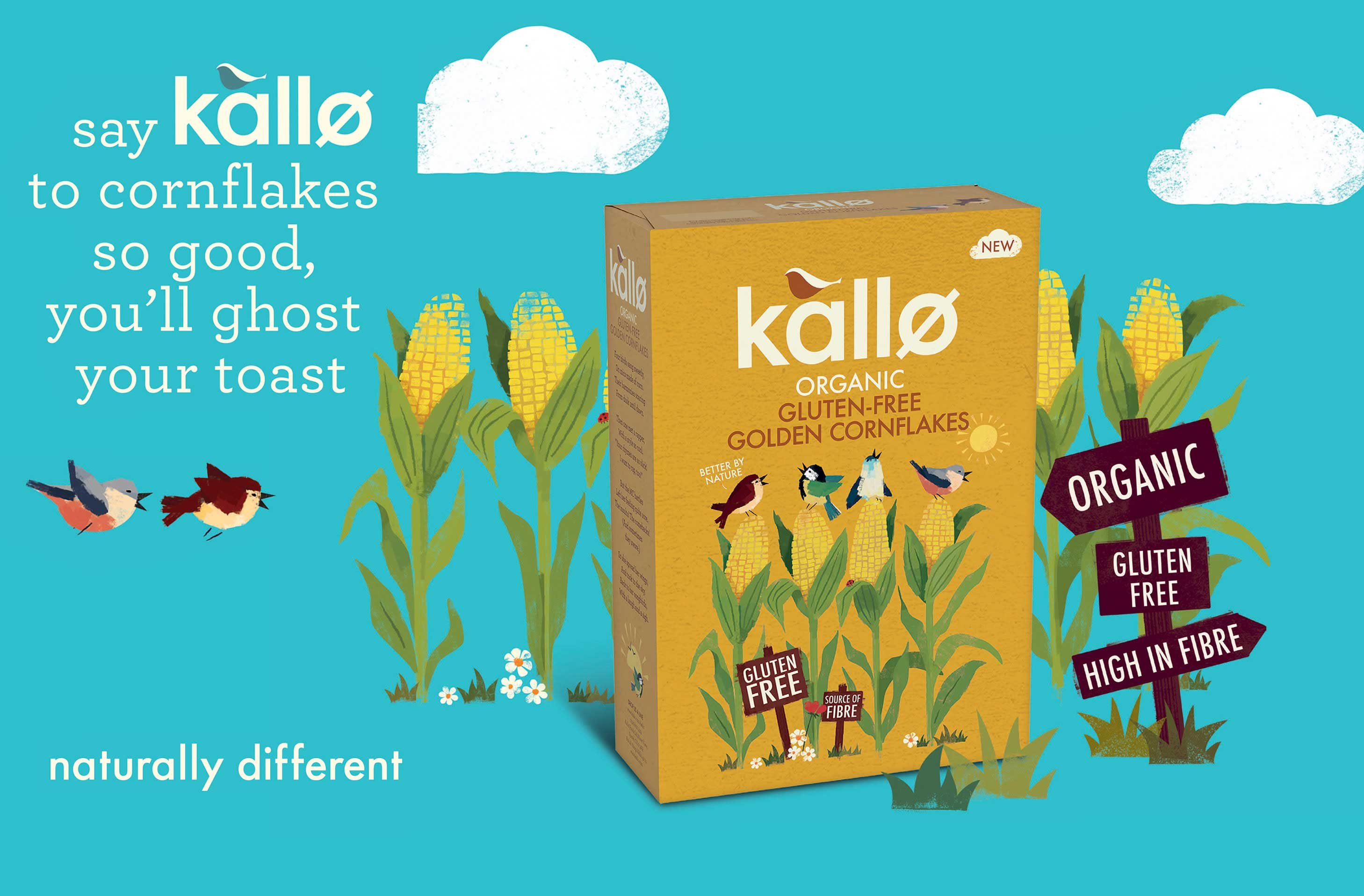 Kallo