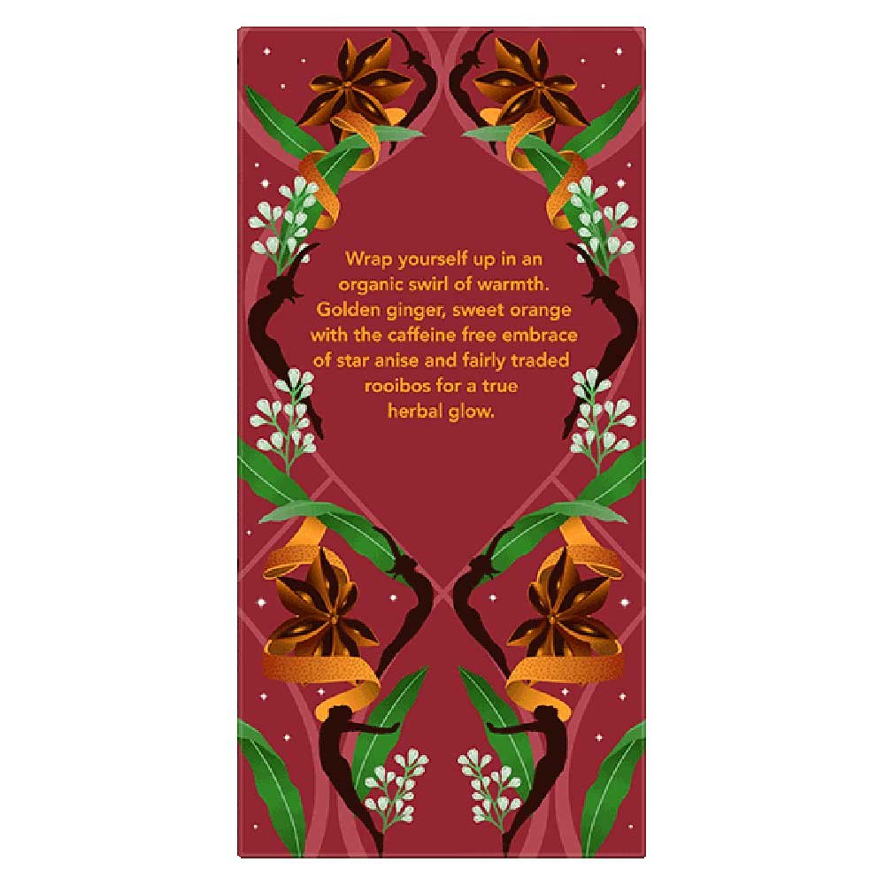 Organic Winter Warmer Pukka 20bgs