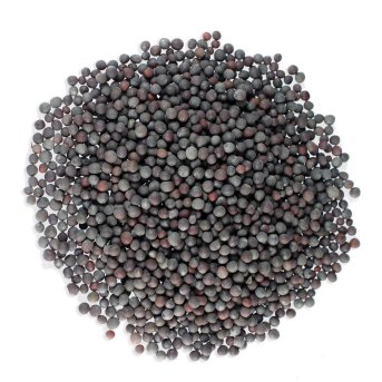 Mustard Seed Black Infinity Foods 1kg Mustard Seed Black Infinity Foods 1kg
