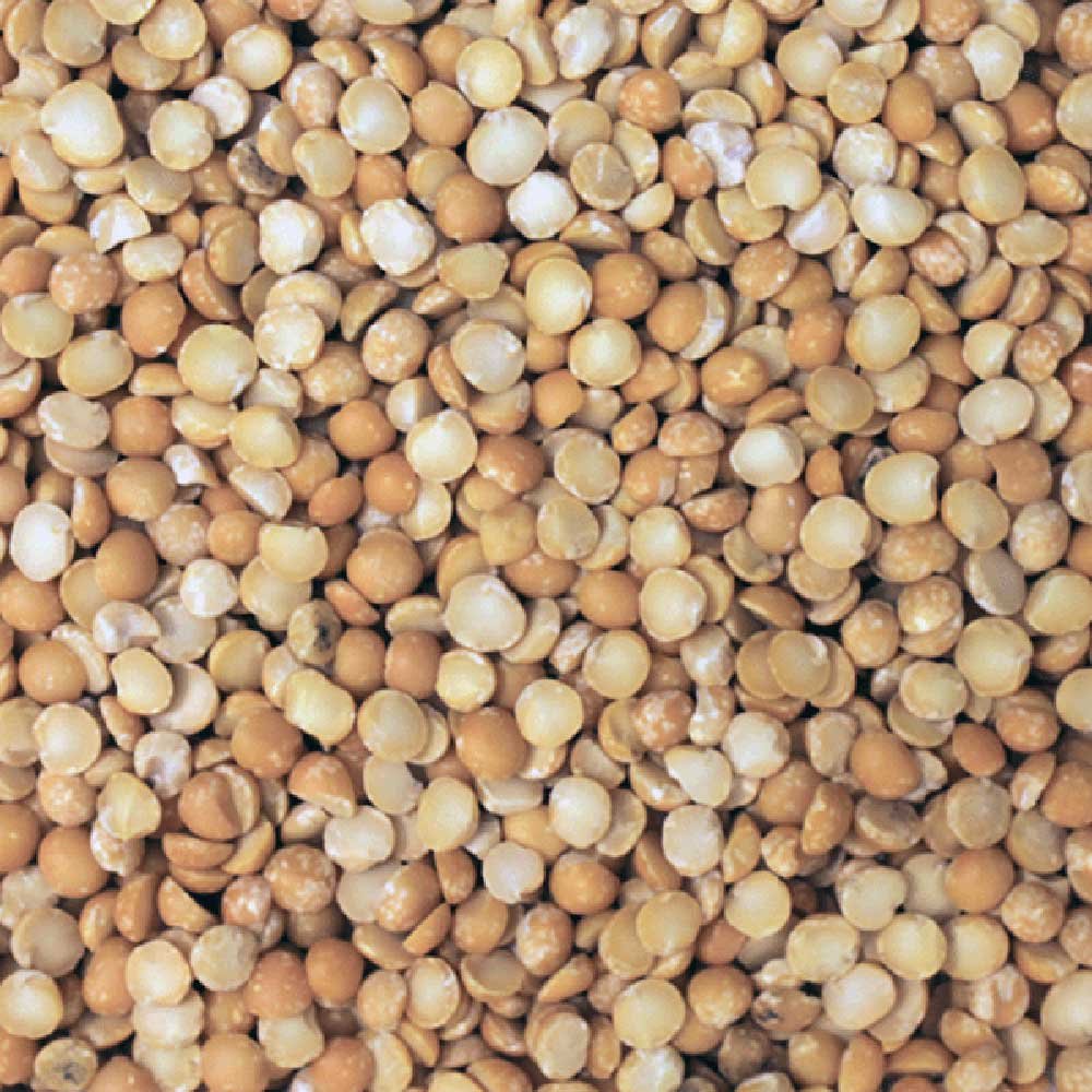 Organic Yellow Split Peas Infinity Foods 5kg Organic Yellow Split Peas Infinity Foods 5kg