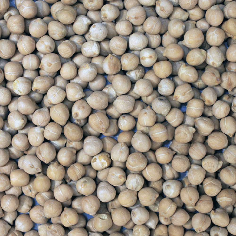 Organic Chickpeas - Italy Infinity Foods 5kg Organic Chickpeas - Italy Infinity Foods 5kg