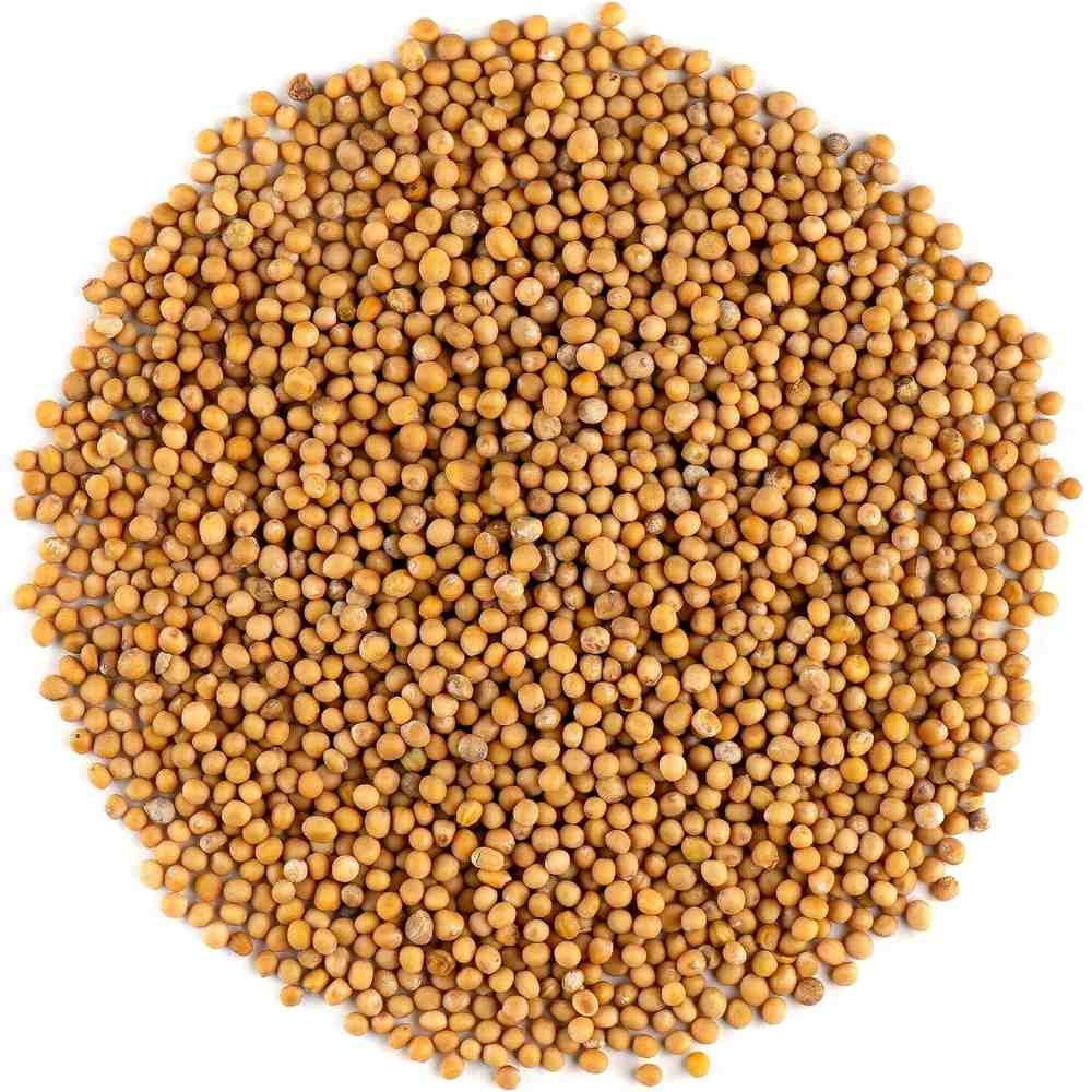 Mustard Seed Yellow Infinity Foods 1kg