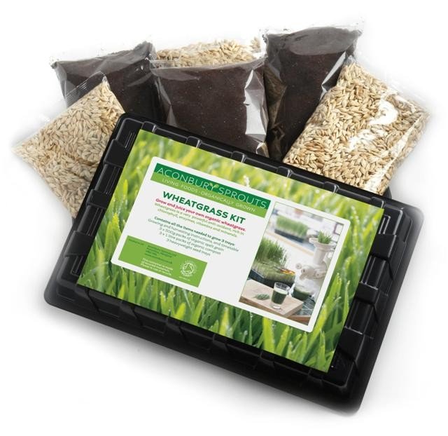 Wheatgrass Growing Kit Aconbury Sprouts 1pack