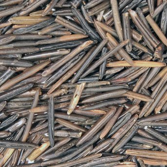 Organic Wild Rice Infinity Bulk 25kg Organic Wild Rice Infinity Bulk 25kg