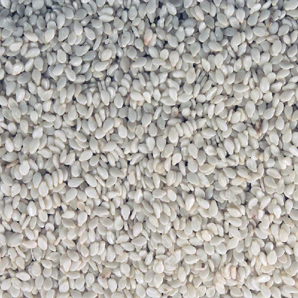 Organic Hulled Sesame Seeds - white Infinity Bulk 25kg