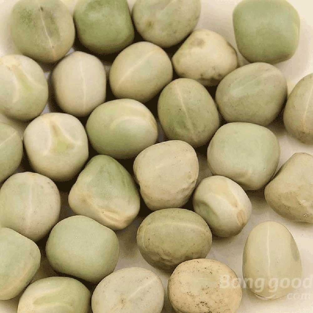 Organic Snow Peas Aconbury Sprouts 500g