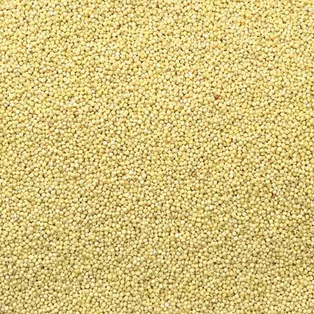 Organic Millet Infinity Bulk 25kg