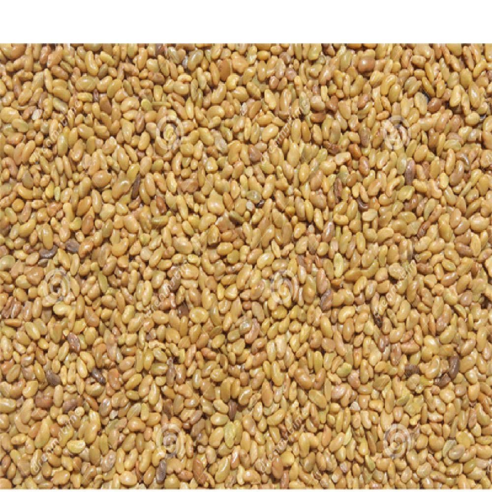 Organic Alfalfa Aconbury Sprouts 250g Organic Alfalfa Aconbury Sprouts 250g