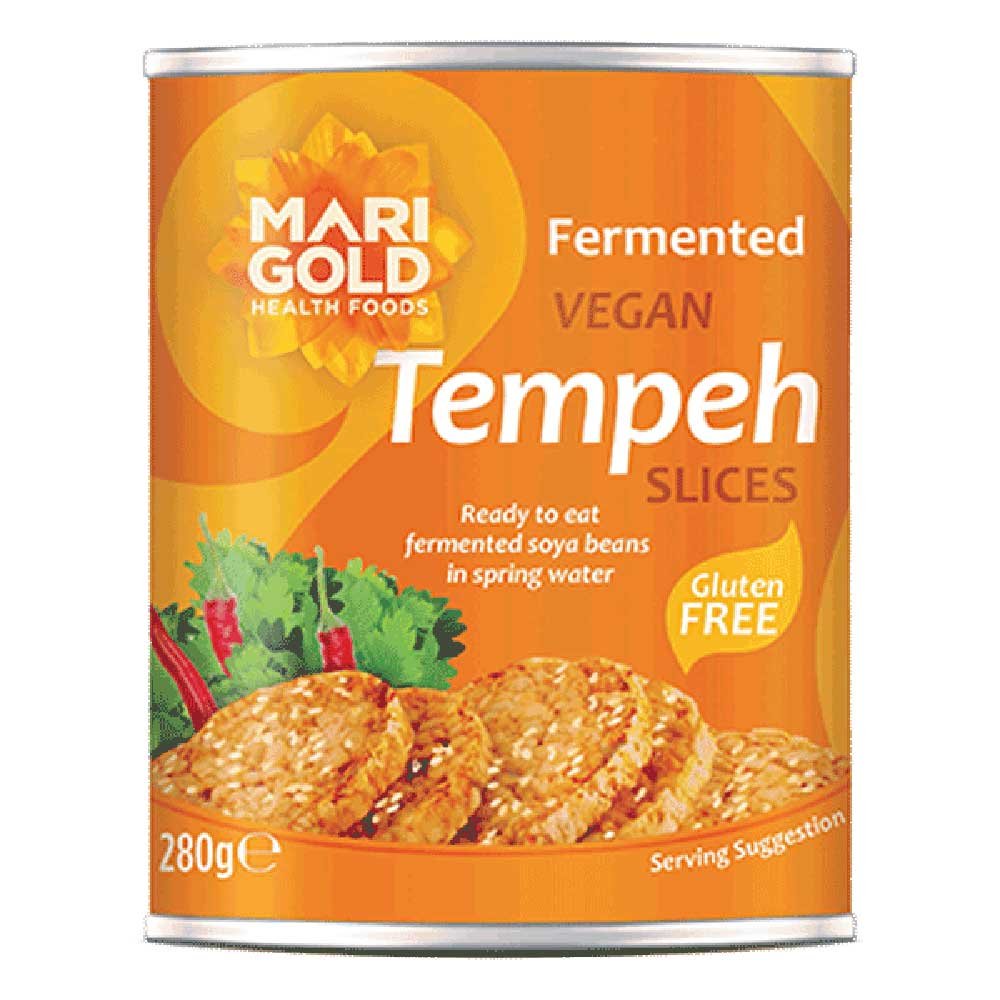 Tempeh Slices - canned