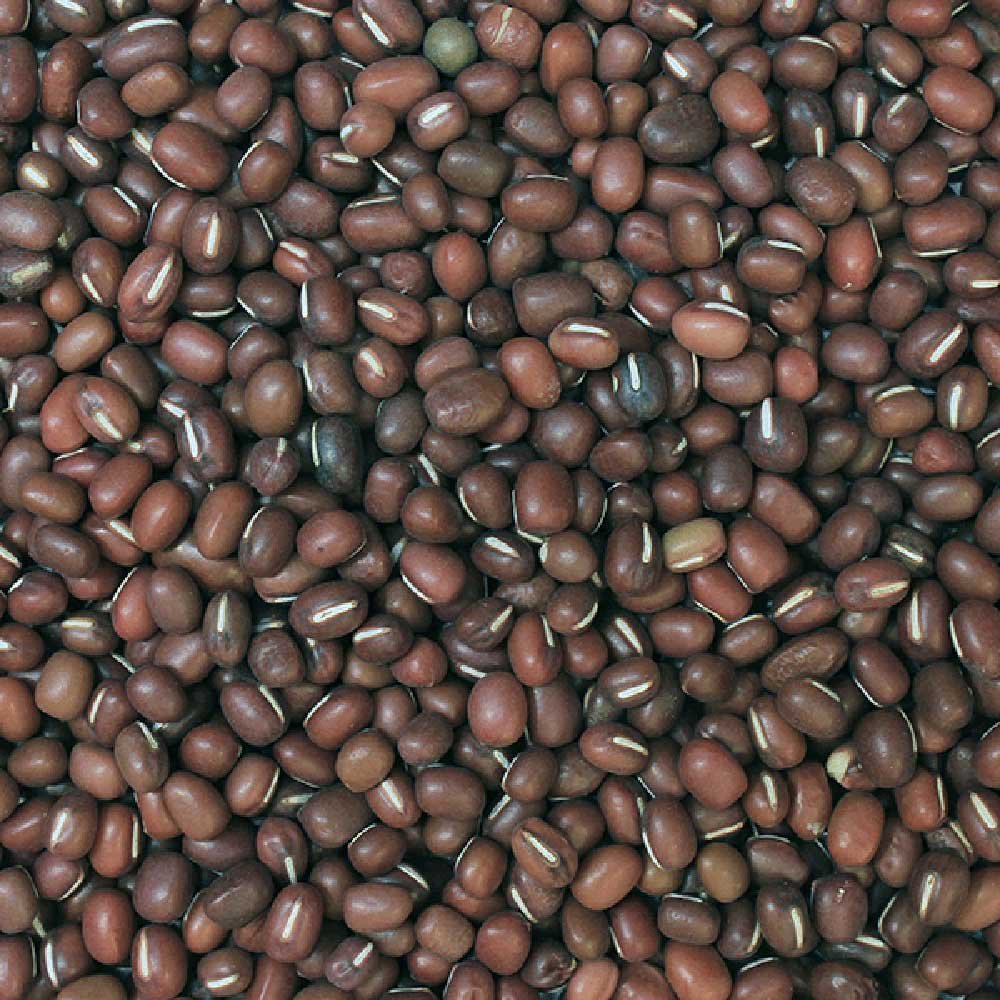 Organic Aduki Beans Infinity Bulk 25kg Organic Aduki Beans Infinity Bulk 25kg