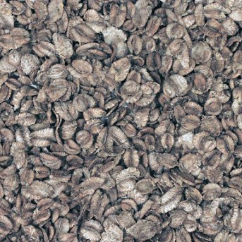Organic Toasted Wheat Flakes Community 12.5kg Organic Toasted Wheat Flakes Community 12.5kg