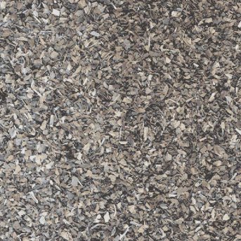 Organic Basil Organic Basil