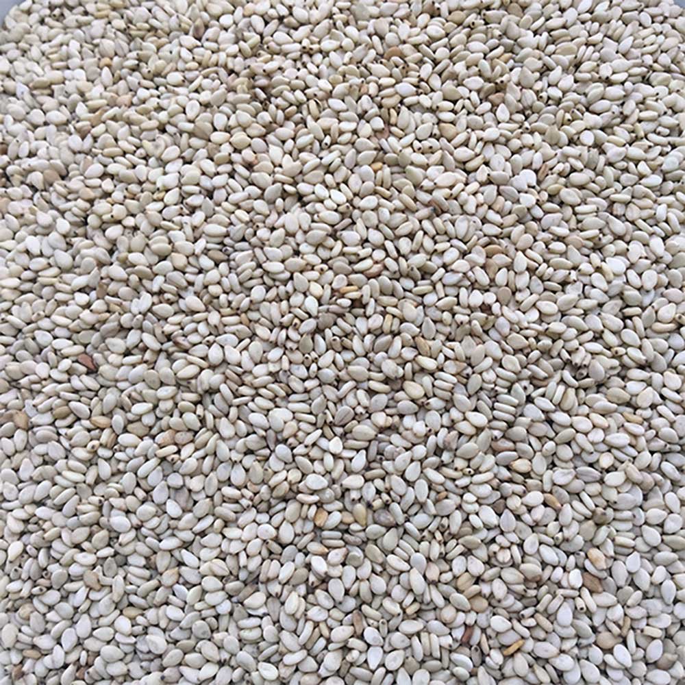 Organic Sesame Seeds - whole - brown Infinity Foods 250g