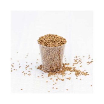 Organic Alfalfa Seed - for sprouting Aconbury Sprouts 8x100g Organic Alfalfa Seed - for sprouting Aconbury Sprouts 8x100g