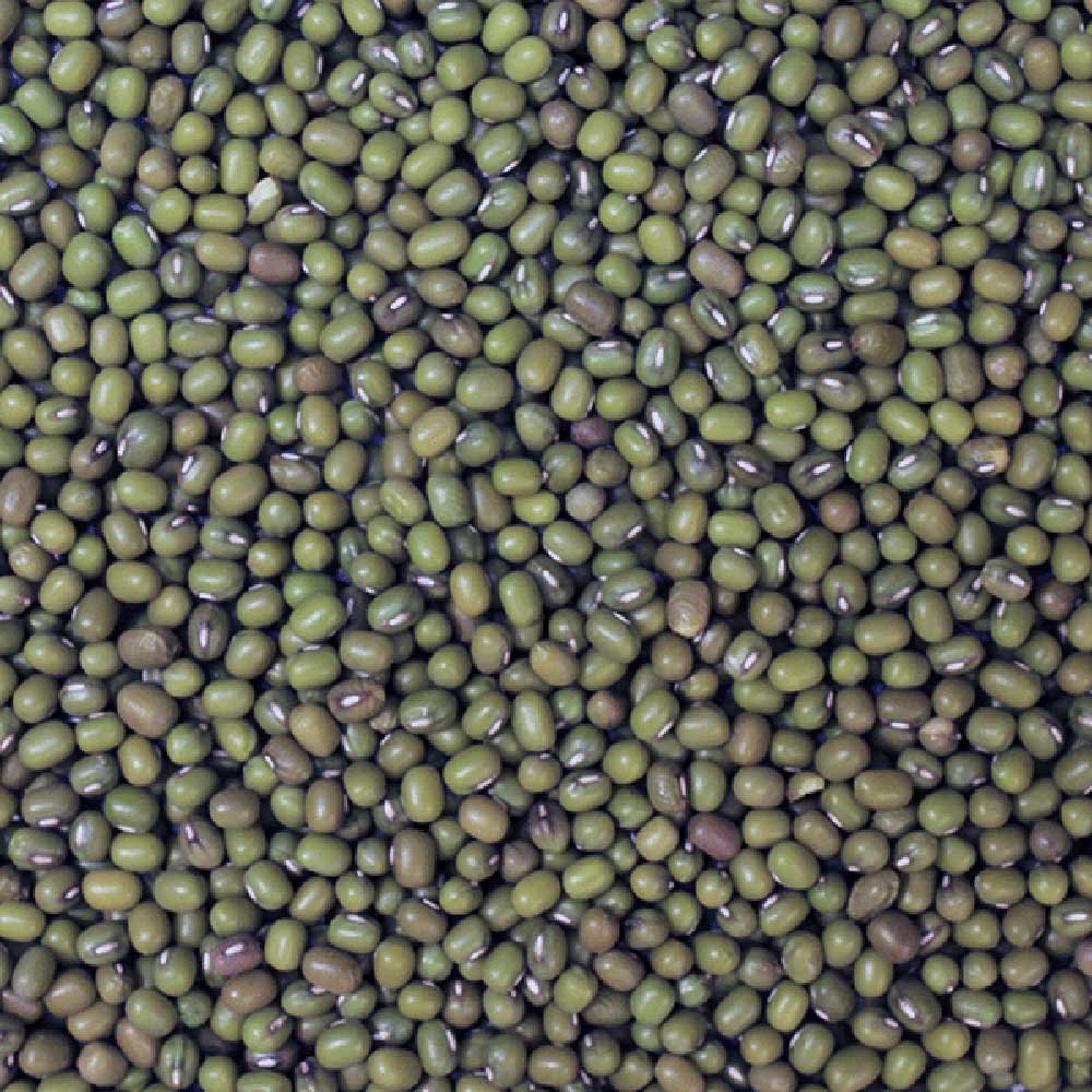 Organic Mung Beans Infinity Bulk 25kg Organic Mung Beans Infinity Bulk 25kg