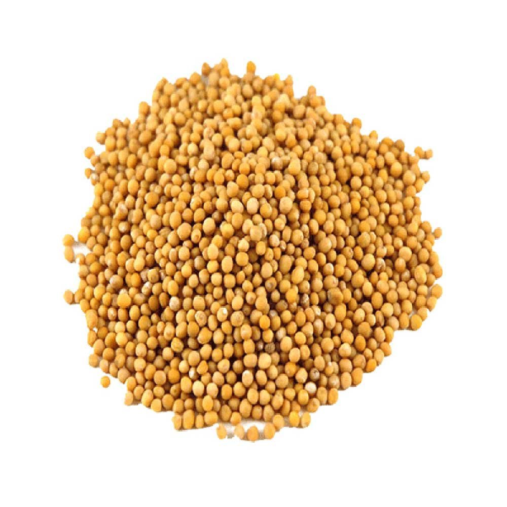 Mustard Seed Yellow Infinity Foods 1kg