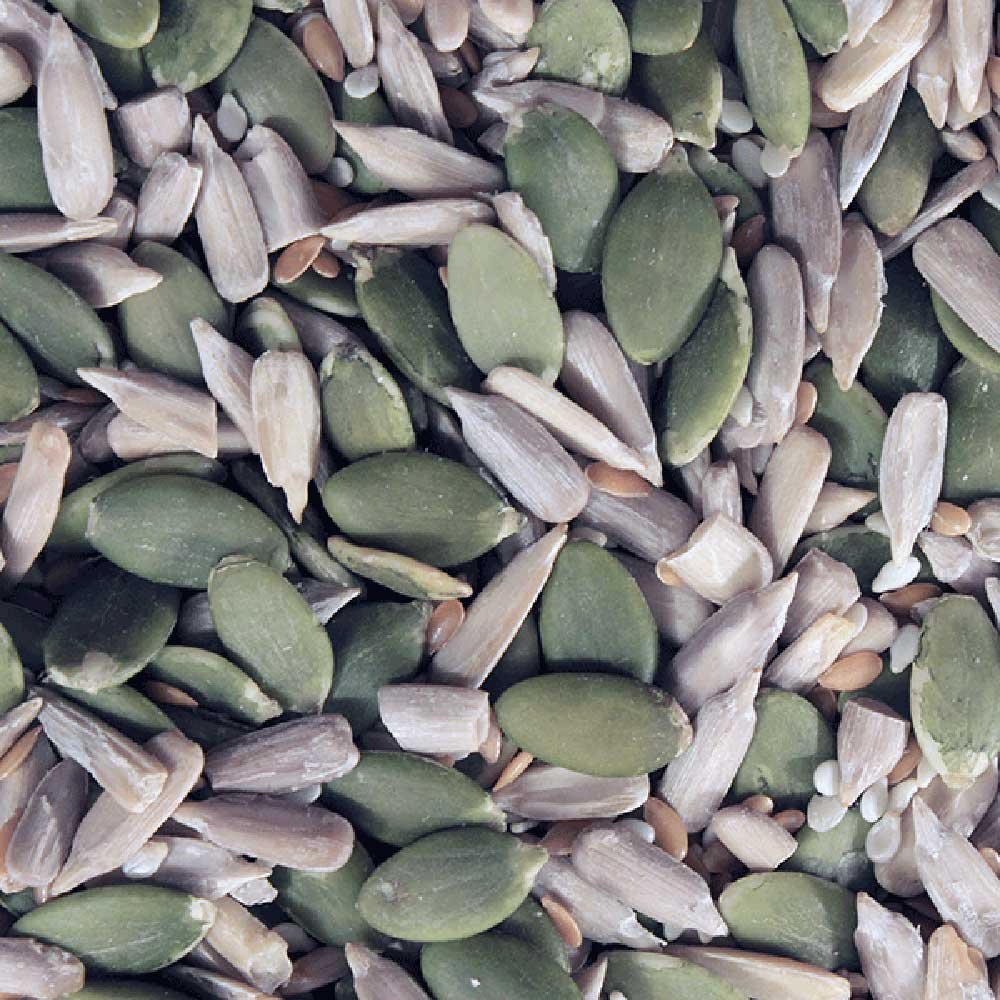 Organic Omega Four Seed Mix Infinity Foods 500g