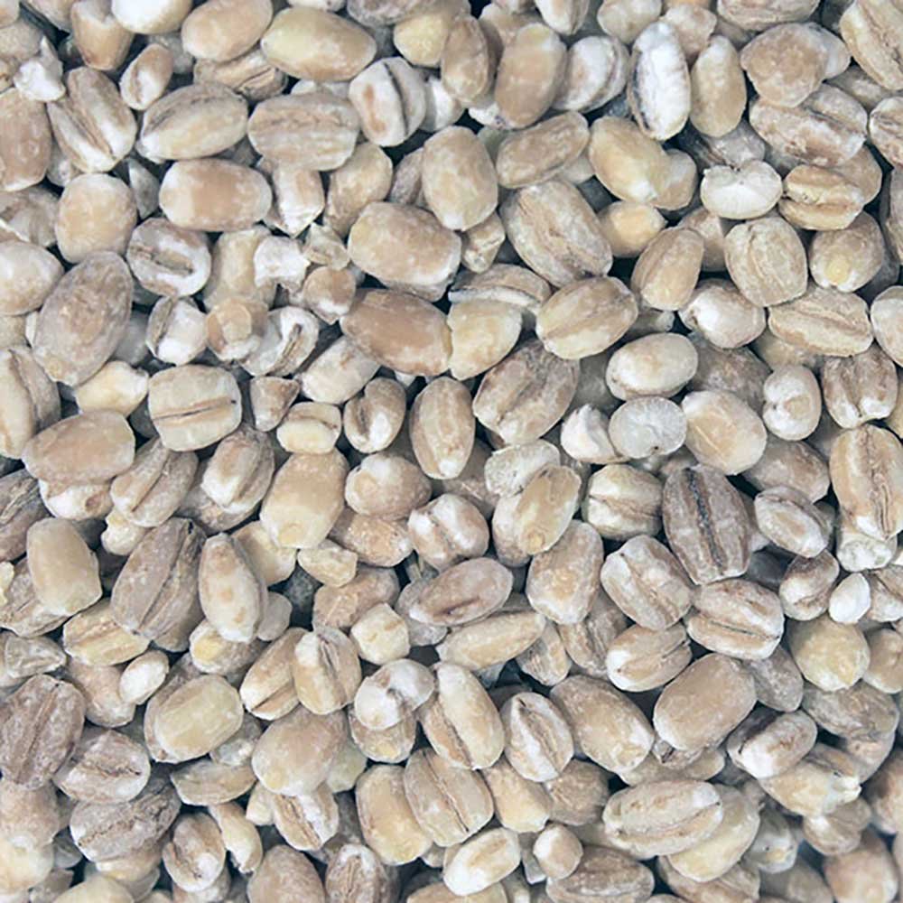 Organic Pearl Barley Infinity Bulk 20kg