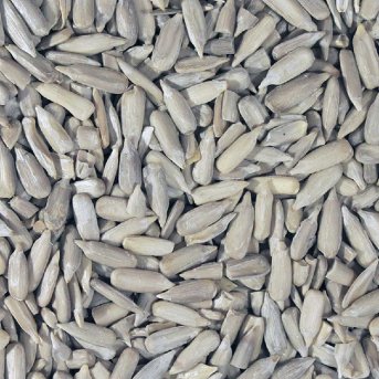 Sunflower Seeds Infinity Foods 5kg