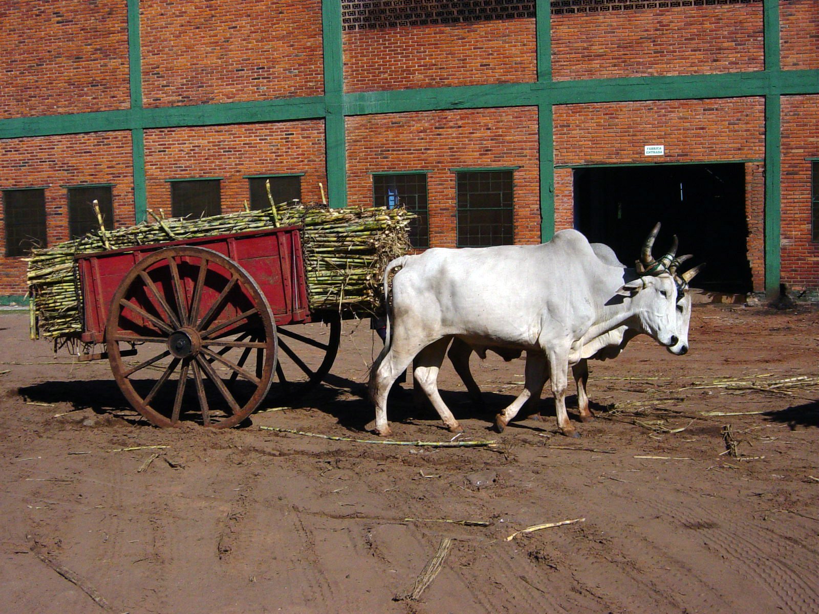 La Felsina Sugar Mill Paraguay