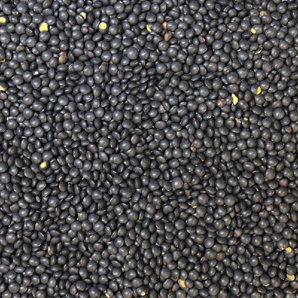 Organic Beluga Lentils (black) Infinity Bulk 25kg