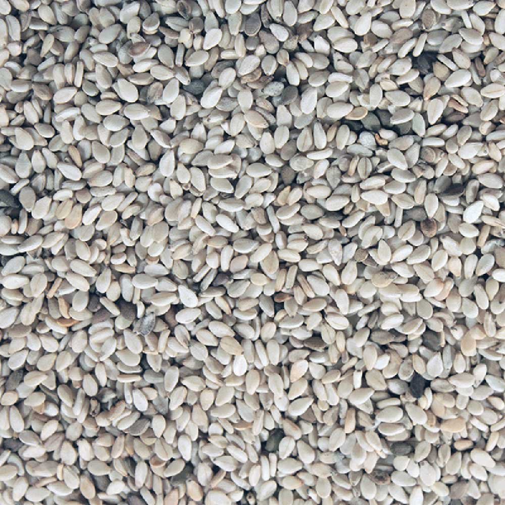Organic Sesame Seeds - whole - brown Infinity Bulk 25kg Organic Sesame Seeds - whole - brown Infinity Bulk 25kg