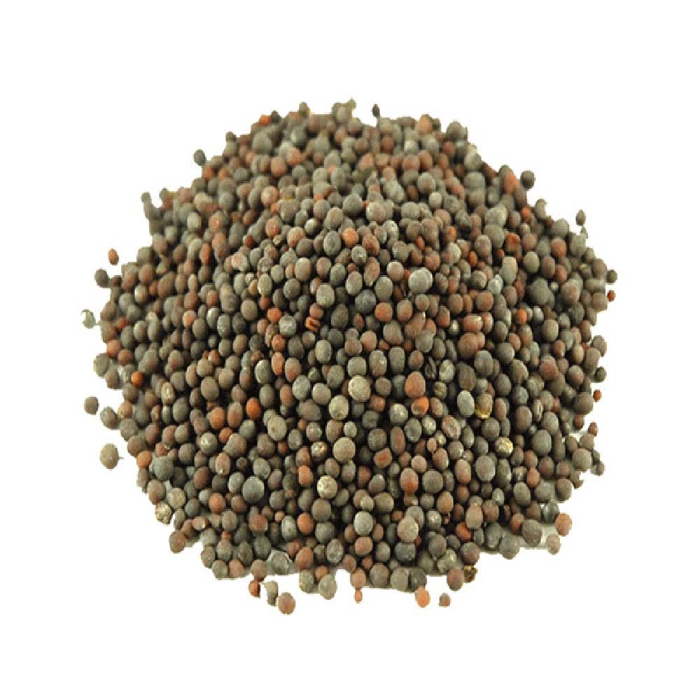 Mustard Seed Black Infinity Foods 1kg Mustard Seed Black Infinity Foods 1kg