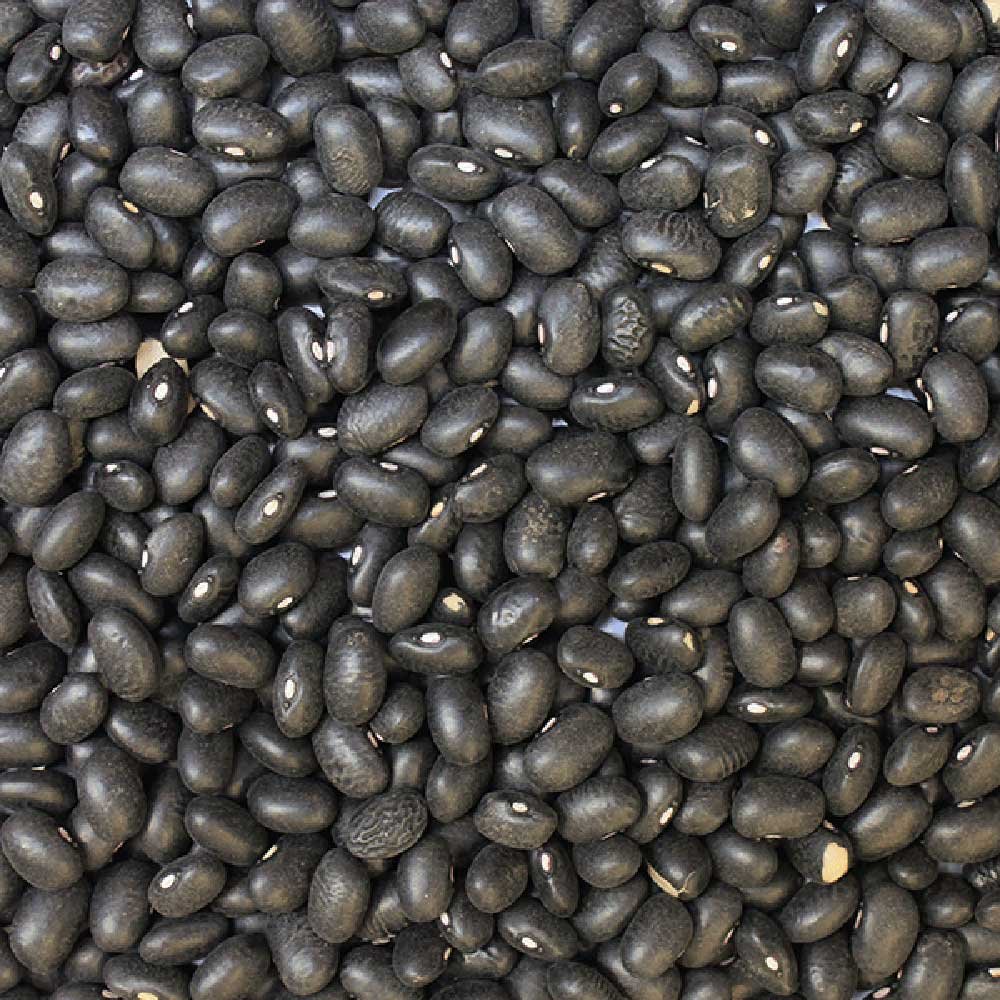 Organic Black Turtle Beans Infinity Bulk 25kg Organic Black Turtle Beans Infinity Bulk 25kg