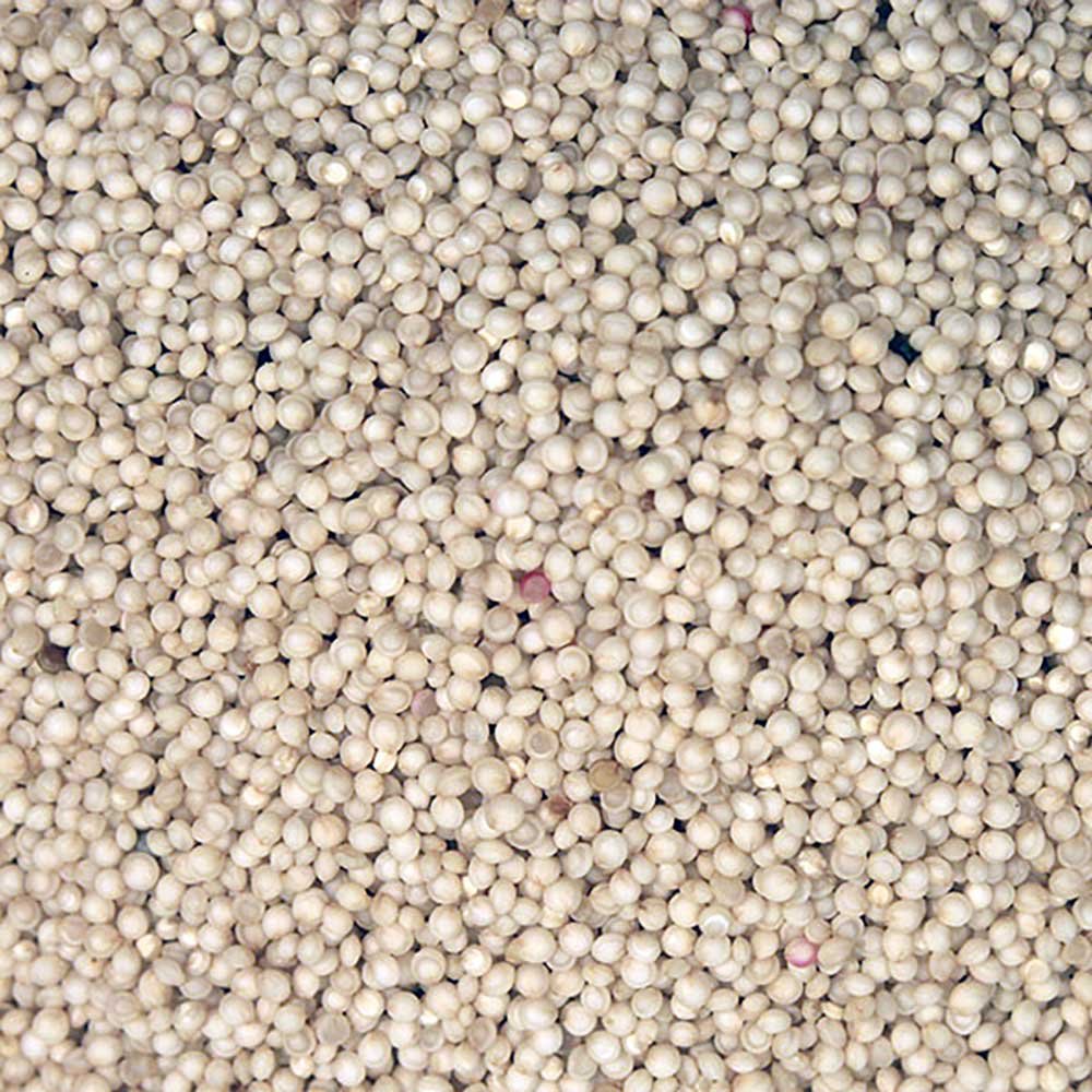 Organic Amaranth Seed Infinity Foods 500g