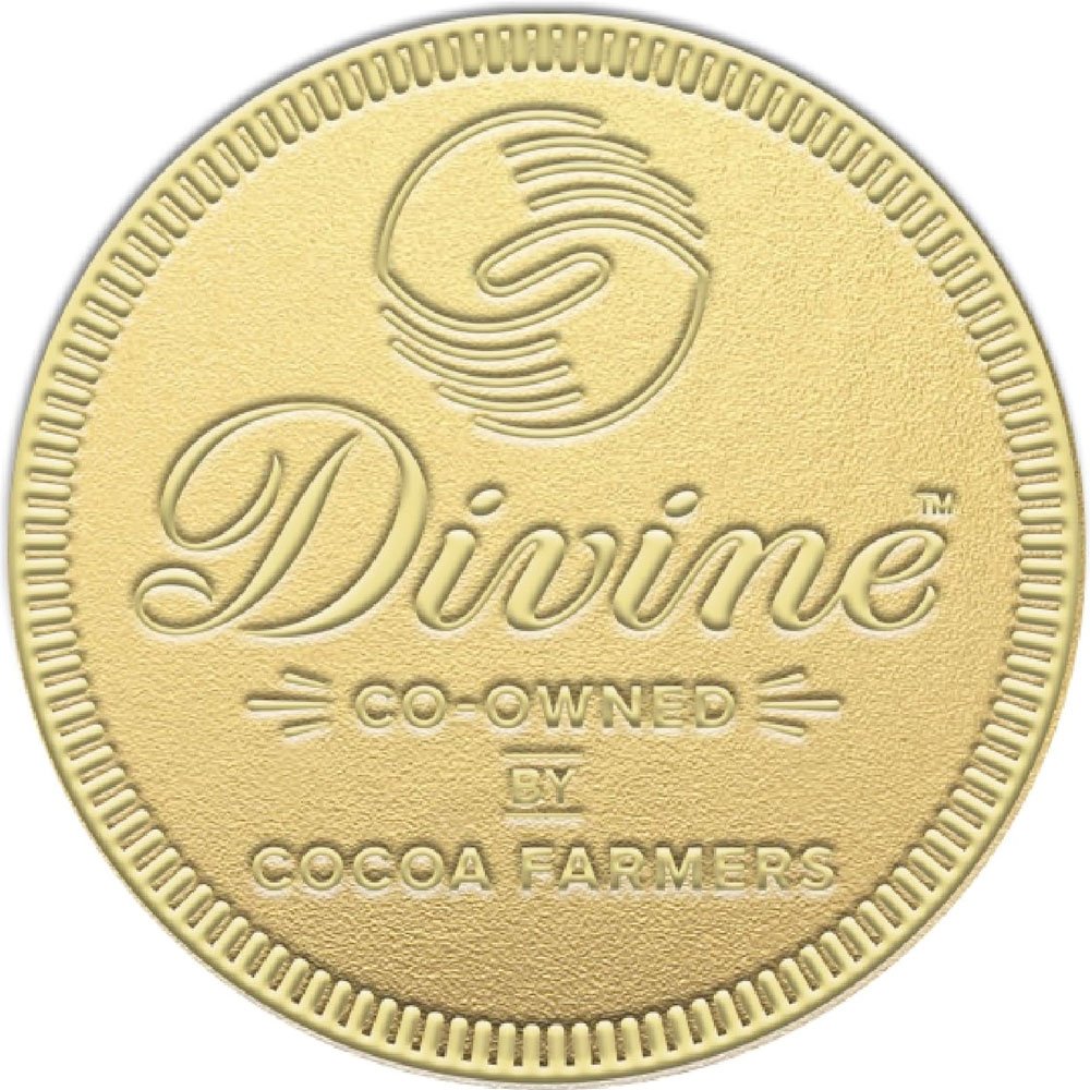 Milk Chocolate Giant Coin Divine 58g
