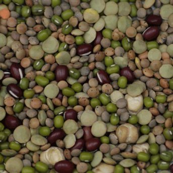 Organic Mixed Beans Aconbury Sprouts 8x500g Organic Mixed Beans Aconbury Sprouts 8x500g
