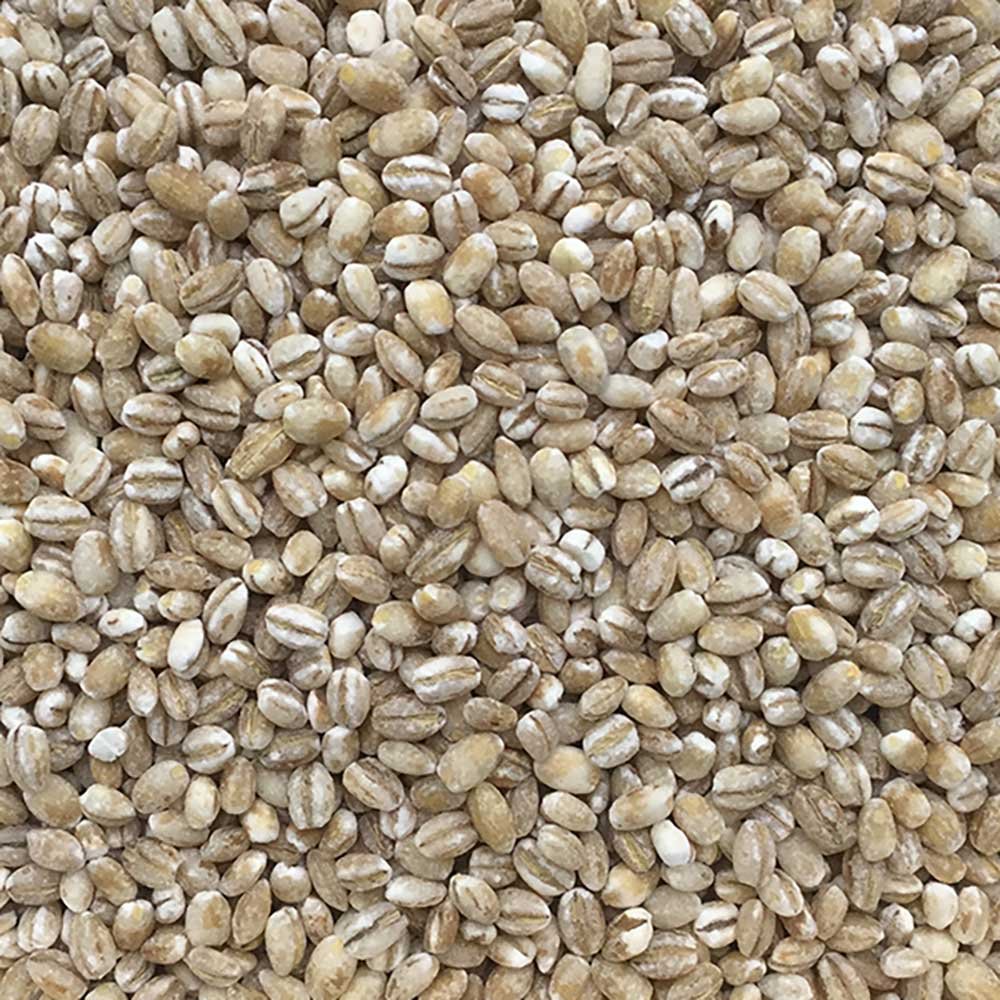 Organic Pearl Barley Infinity Foods 500g Organic Pearl Barley Infinity Foods 500g