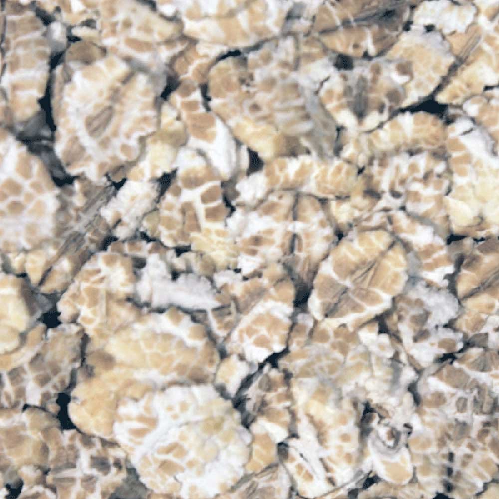 Organic Barley Flakes Infinity Foods 500g