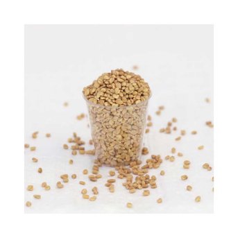 Organic Fenugreek Seed - for sprouting Aconbury Sprouts 8x250g Organic Fenugreek Seed - for sprouting Aconbury Sprouts 8x250g