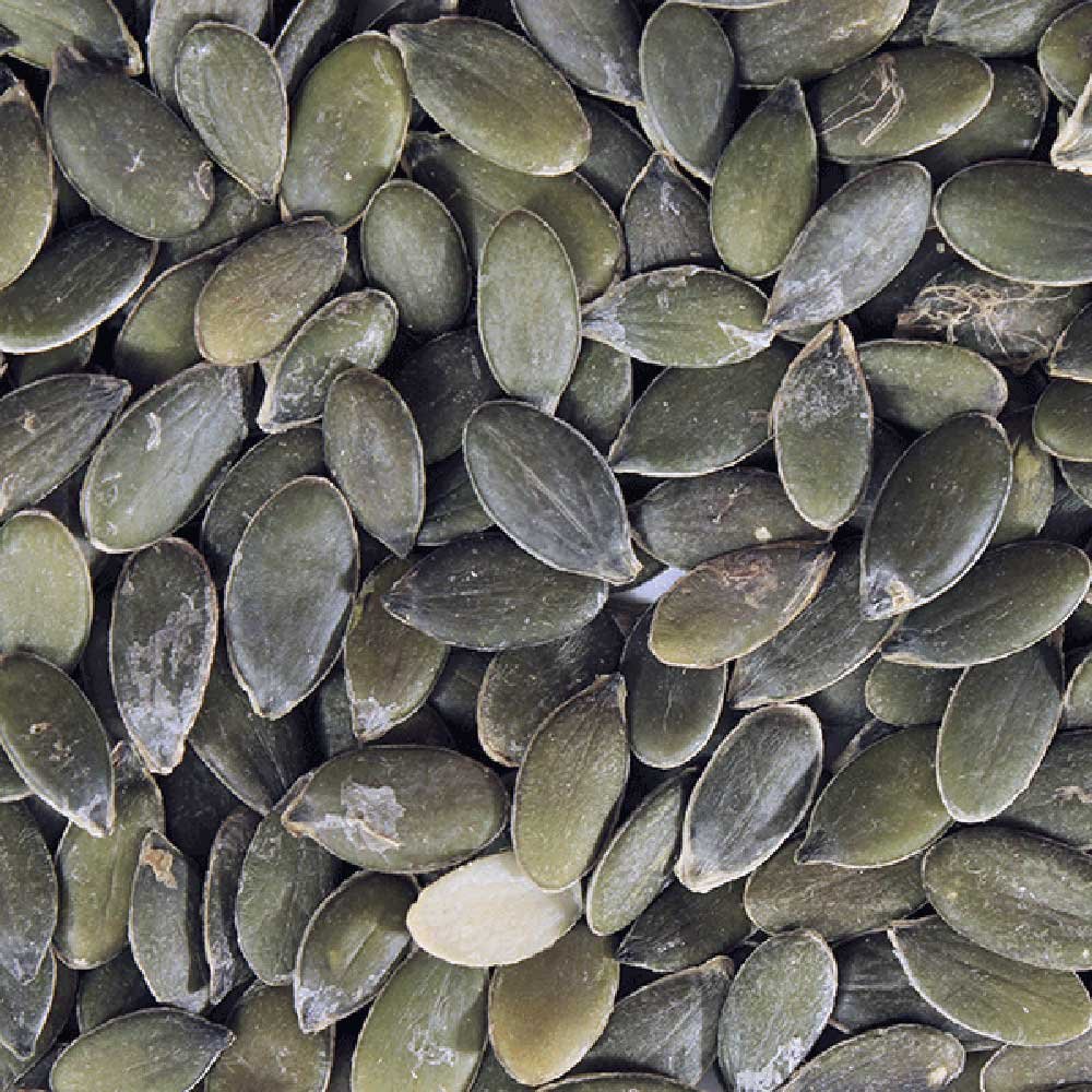 Organic Pumpkin Seeds - AA grade Infinity Foods 125g