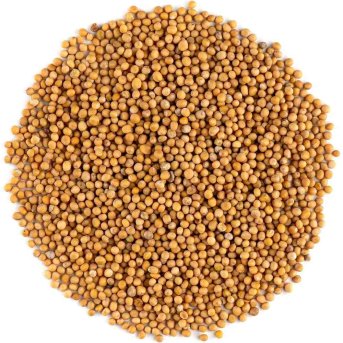 Mustard Seed Yellow Infinity Foods 1kg Mustard Seed Yellow Infinity Foods 1kg