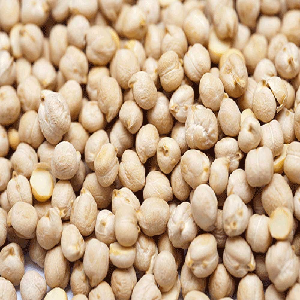 Organic Chickpeas Aconbury Sprouts 500g