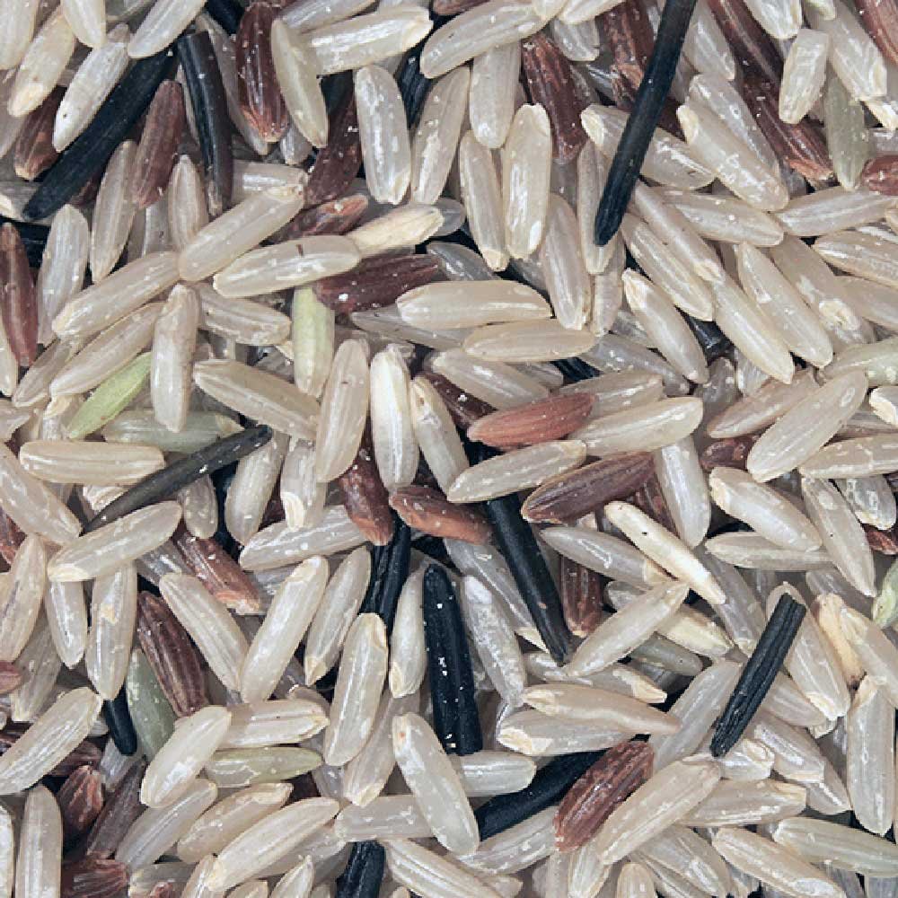 Organic Wild Rice Mix Infinity Foods 25kg