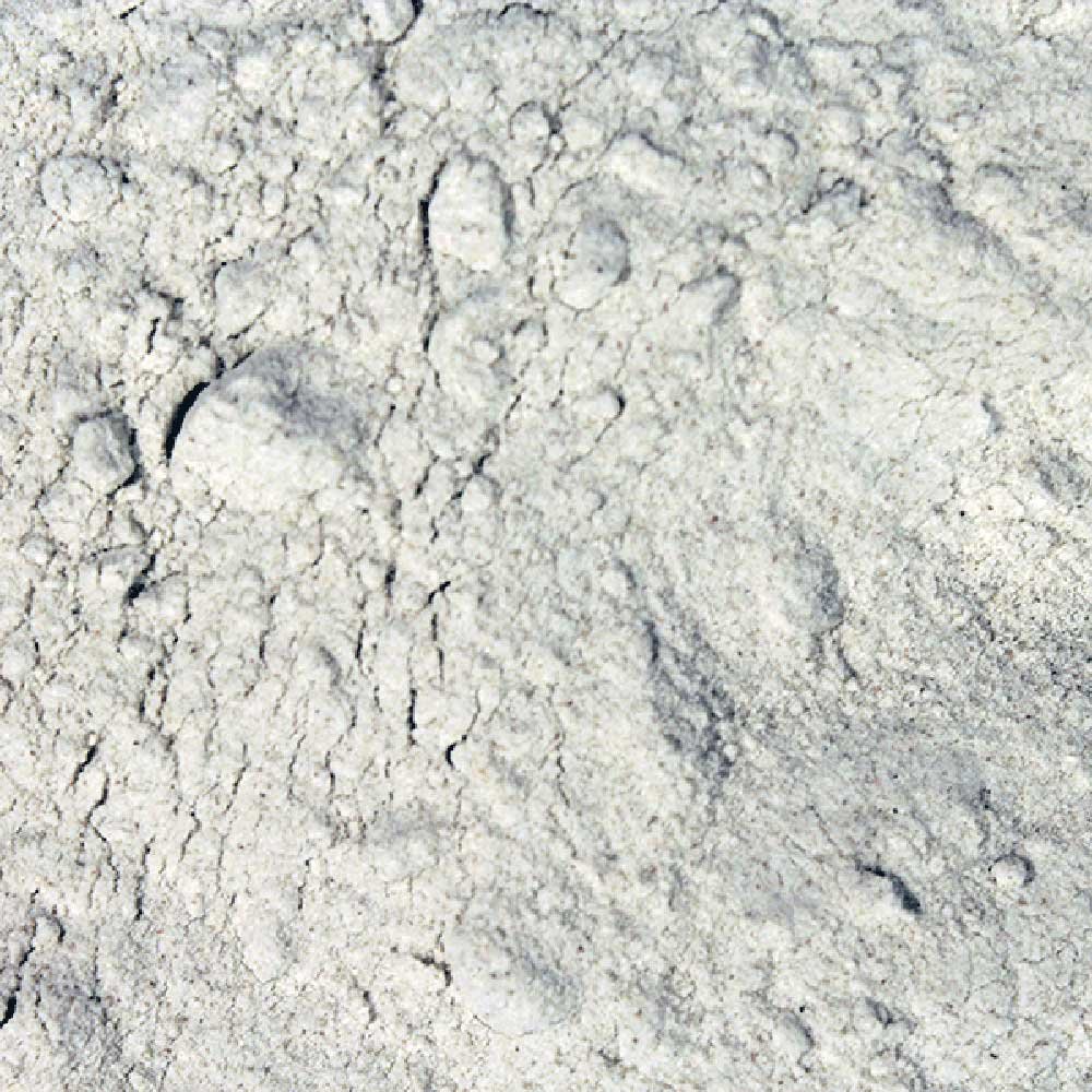 Organic Buckwheat Flour - gluten-free Infinity Bulk 25kg