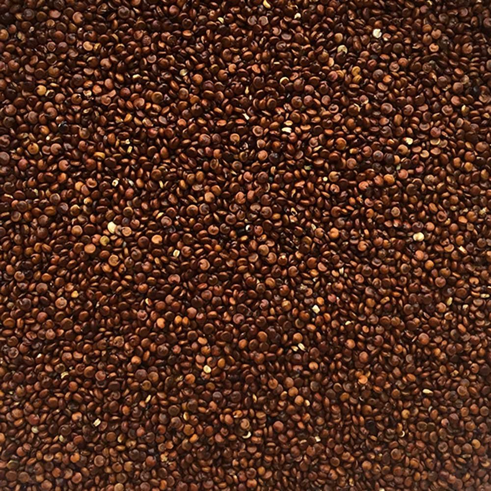 Organic Red Quinoa Grain Infinity Foods 450g