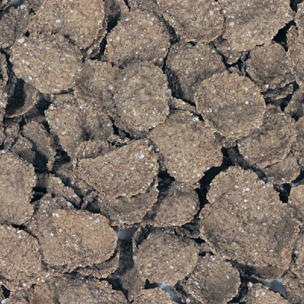 Organic Bran Flakes Infinity Foods 500g