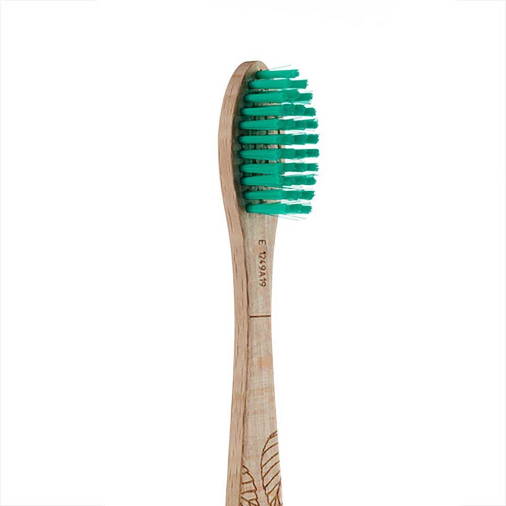 Natural Beech Toothbrush - Medium Georganics 1