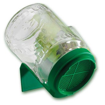 bioSnacky Glass Germinator A. Vogel 1x1 bioSnacky Glass Germinator A. Vogel 1x1