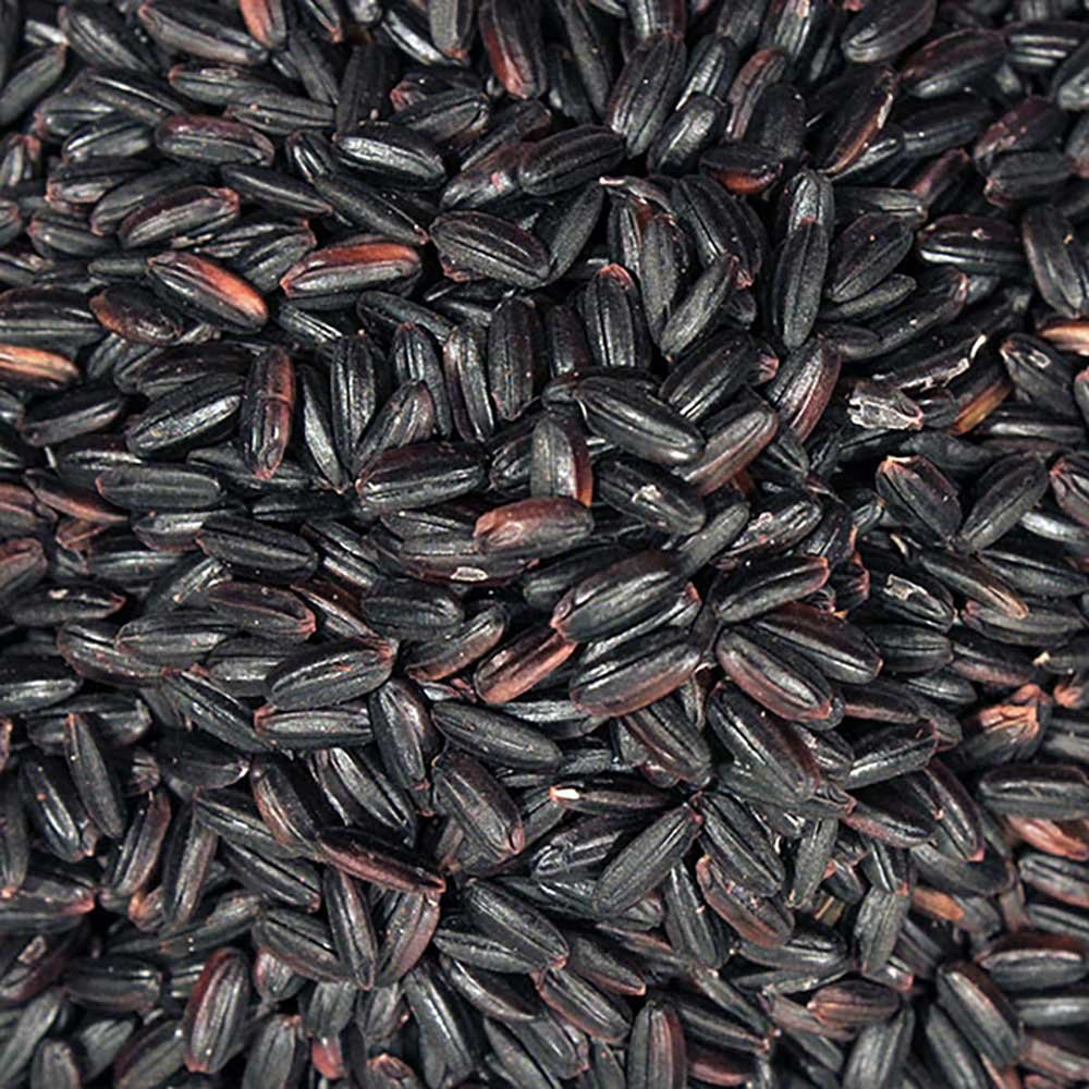 Organic Black Rice - Italy Infinity Bulk 20kg Organic Black Rice - Italy Infinity Bulk 20kg