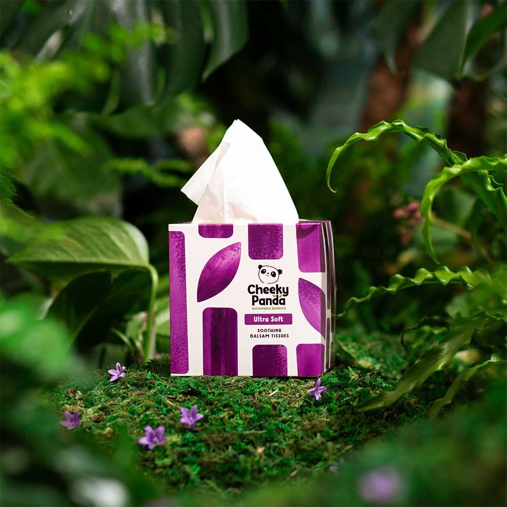 Cube Box 4 ply Bamboo Balsam Tissues - 48s Cheeky Panda 12x48