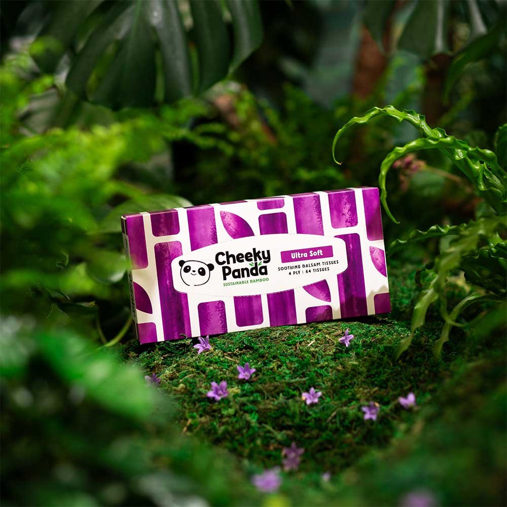 Flat Box 4 ply Bamboo Balsam Tissues - 64s Cheeky Panda 12x64 Flat Box 4 ply Bamboo Balsam Tissues - 64s Cheeky Panda 12x64
