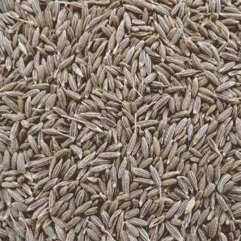 Organic Caraway Seed Organic Herb Trading 1kg