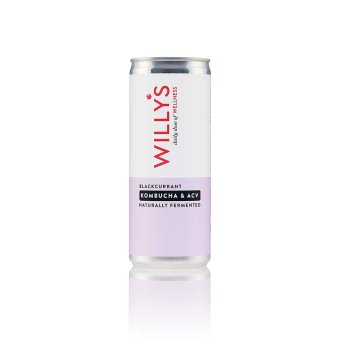 Organic Blackcurrant Kombucha & ACV Willy's ACV 12x250ml