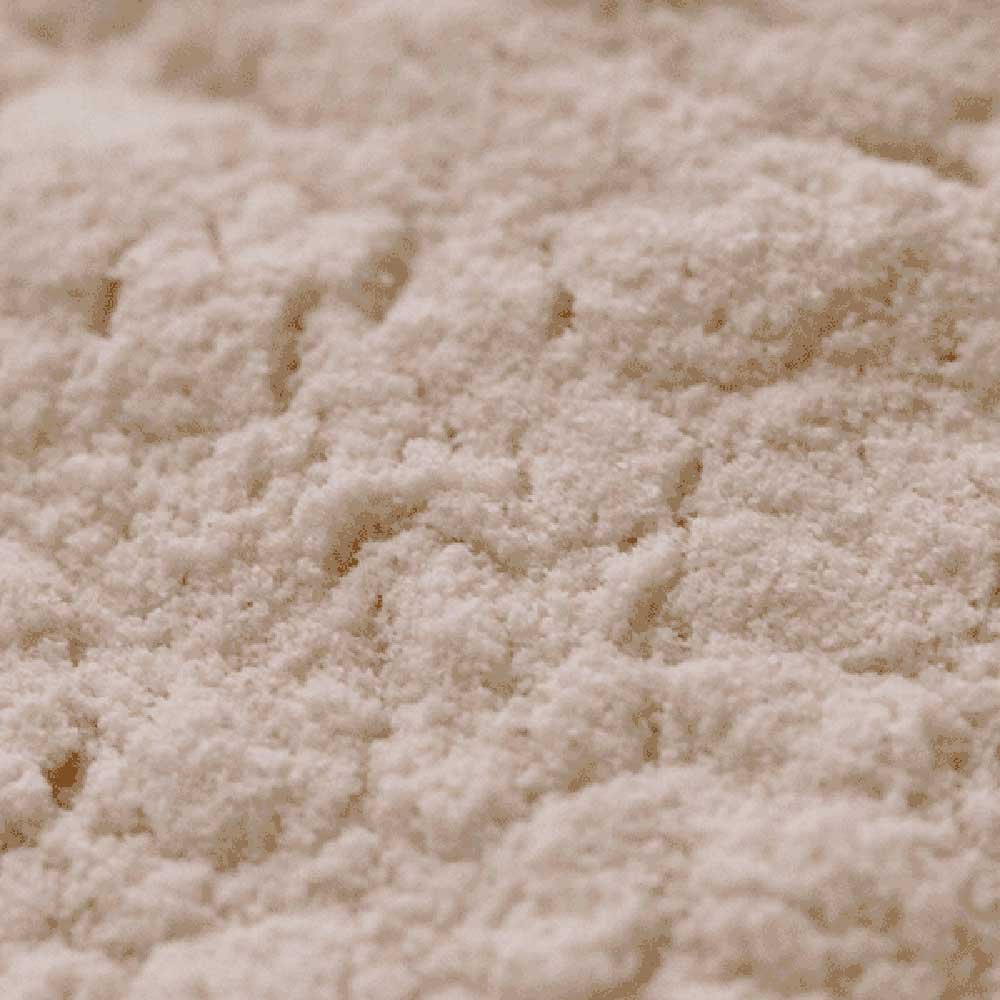 Organic Onion Powder Organic Herb Trading 1kg